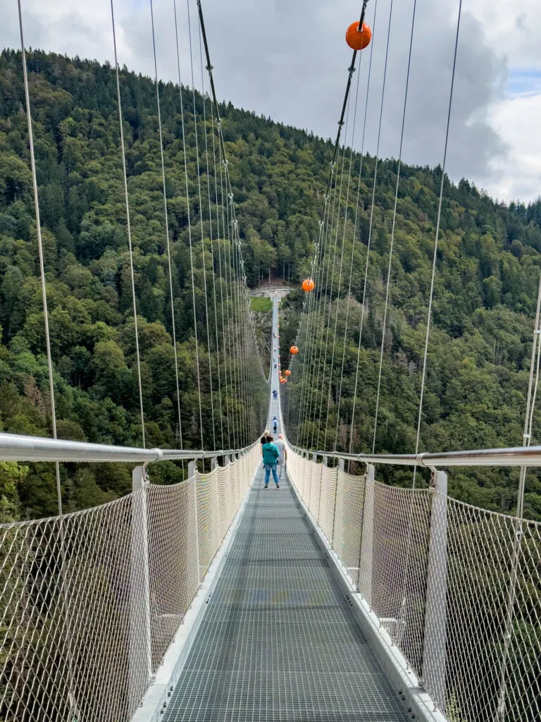 The Black Forest Line Cable Bridge.