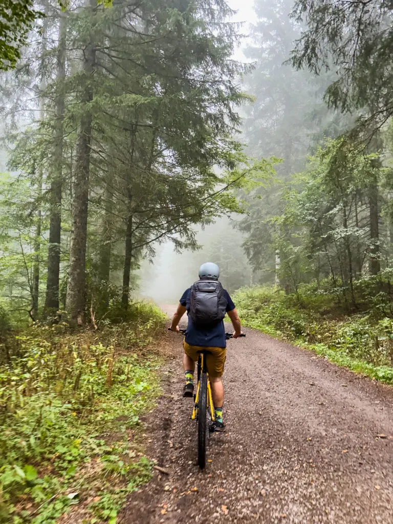 Mountain Biking in the Black Forest on the Gipfeltrail.