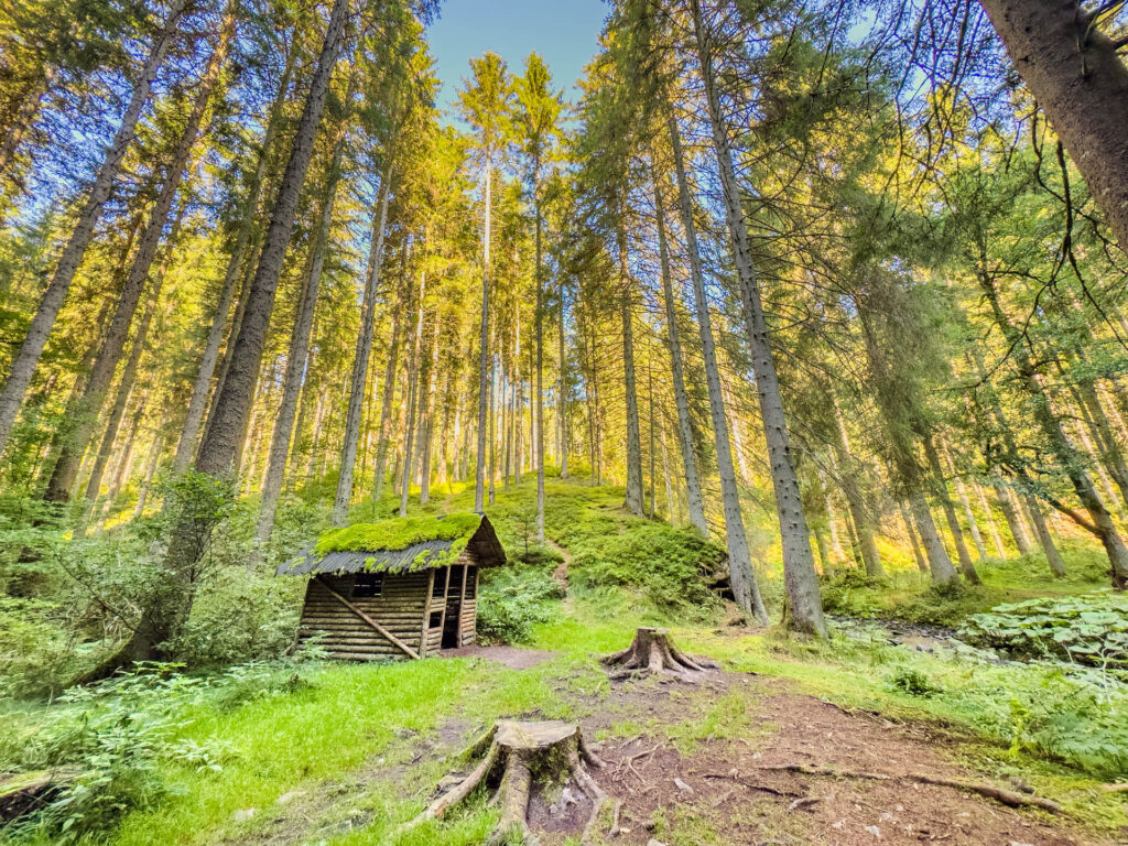 A cottage in the woods in Rötenbachschlücht in the Black Forest.