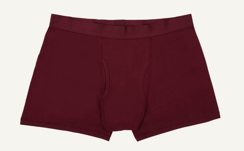 Subset organic cotton boxer briefs (photo provided by Subset).