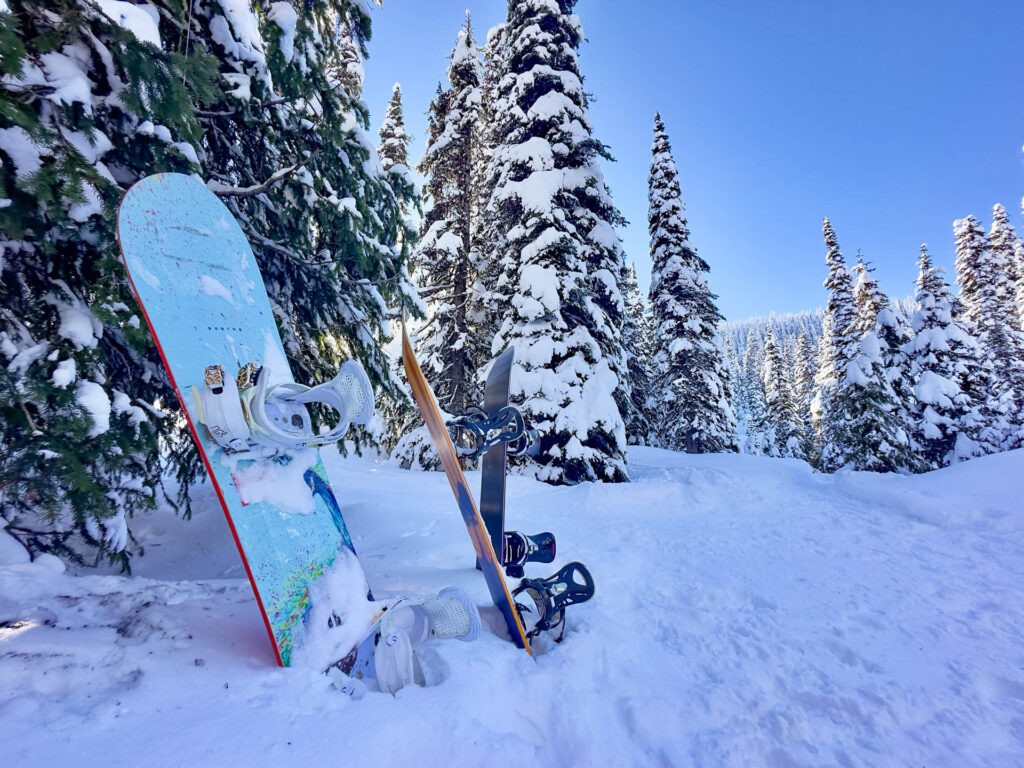 Three snowboards stand up in the snow in front of snowy pine trees.