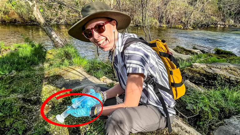 Contribute to a Biodiversity Database When You Travel: Adventure in Portugal