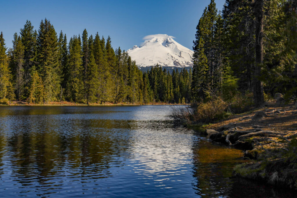 A view of Mt. Hood from Trillium Lake.