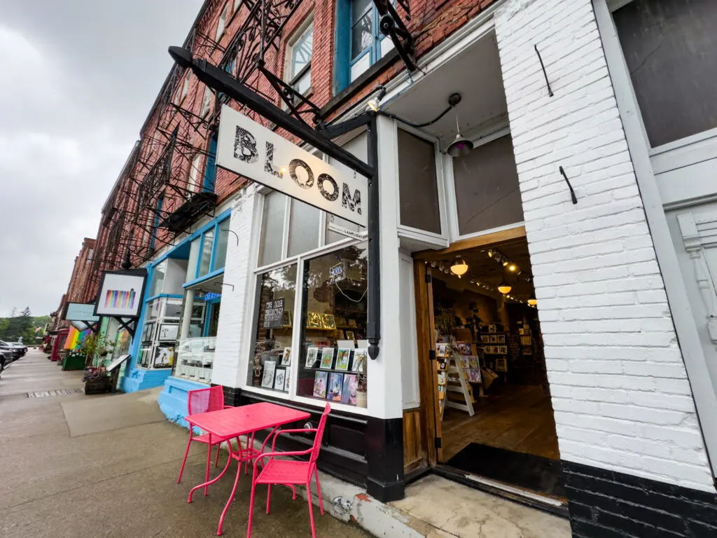 The outside of Bloom art gallery on Thomas, WV's Main Street.