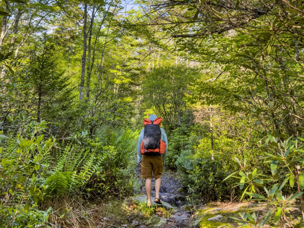 A man carries a LiteAF ultralight backpack while hiking in the woods.