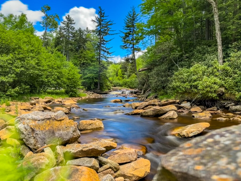 Red Creek in the Dolly Sods Wilderness in WV.