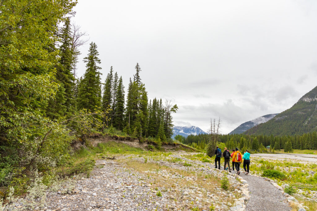 Guided hiking in Banff: A medicine walk with Mahican Trails.