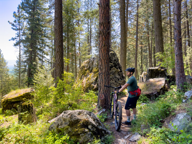 A man stands next to his bike in the woods while he enjoys the view.