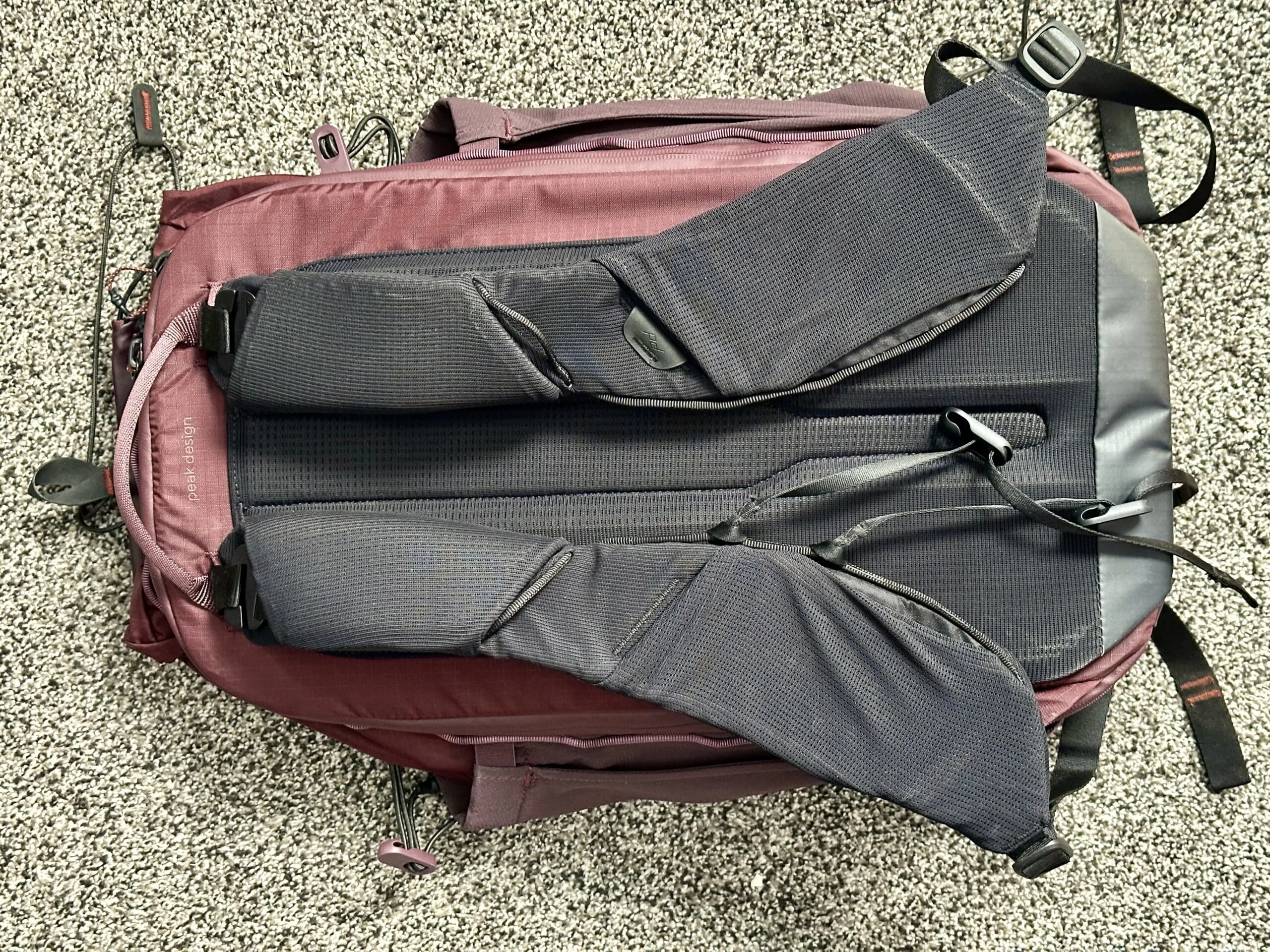 The back panel of the Peak Design Outdoor 25L Backpack.