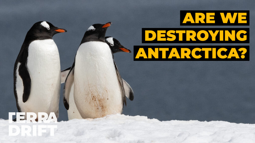 Antarctica Cruise