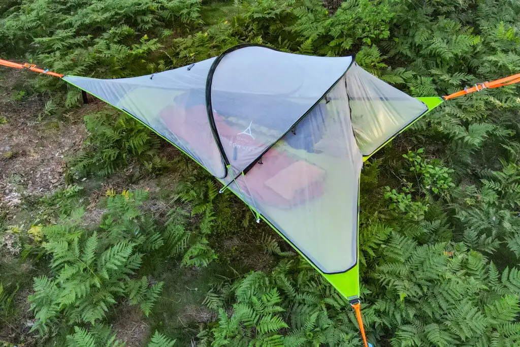 The Tentsile Connect Tree Tent hung above a floor of ferns.