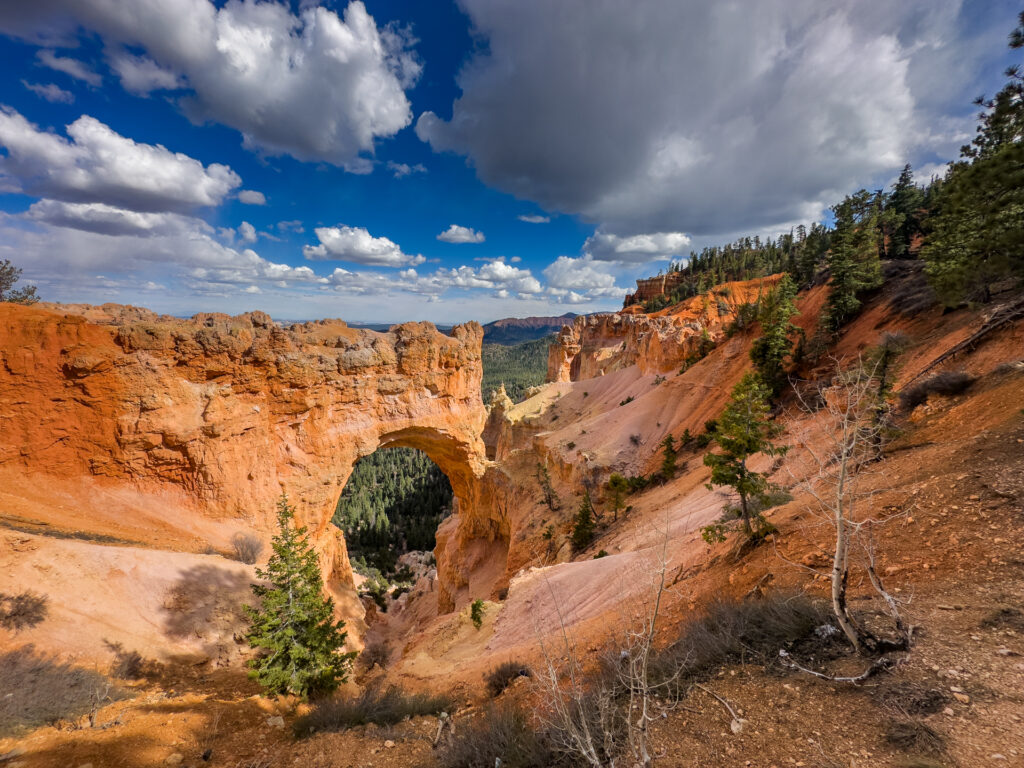 A viewpoint at Bryce Canyon National Park.