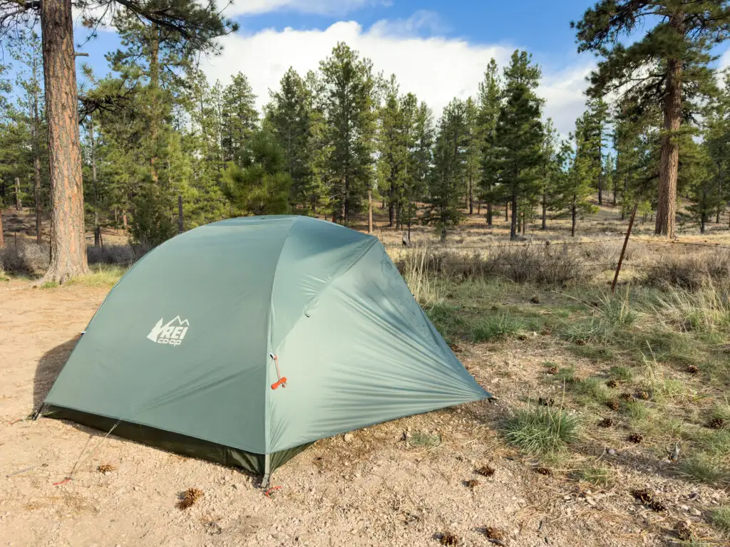 REI Half Dome vs Big Agnes Copper Spur: the REI Co-op Half Dome tent pitched in a pine forest.