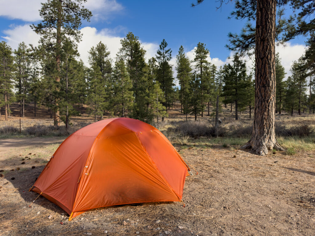 REI Half Dome vs Big Agnes Copper Spur: the Big Agnes Copper Spur 3 tent pitched in a pine forest.