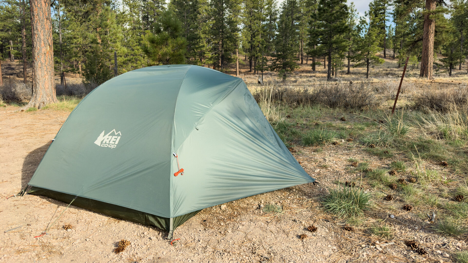 REI half dome 3 tent.