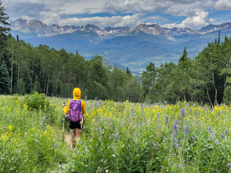 A woman hikes through wildflowers on Acorn Trail in Silverthorne, Colorado. You can see the vast Gore Mountain Range in the distance.