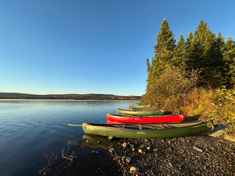Canoes lined up on the shore of the Allagash Waterway in Maine.