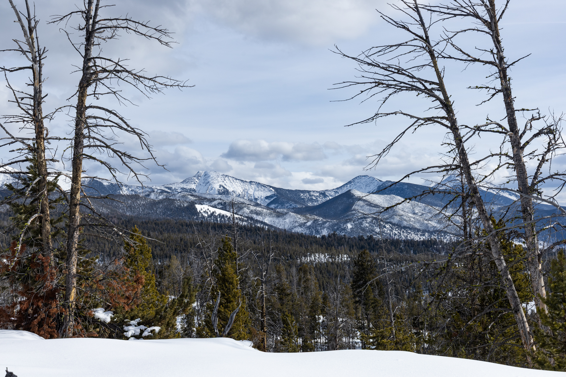 A view of snow-capped mountain from Elkhorn Trails in SW Montana.