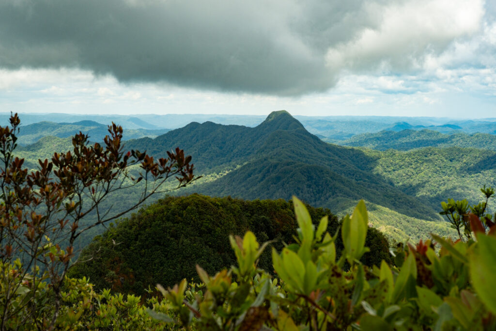 A view of surrounding peaks and valleys from the Victoria Peak Summit Hike.