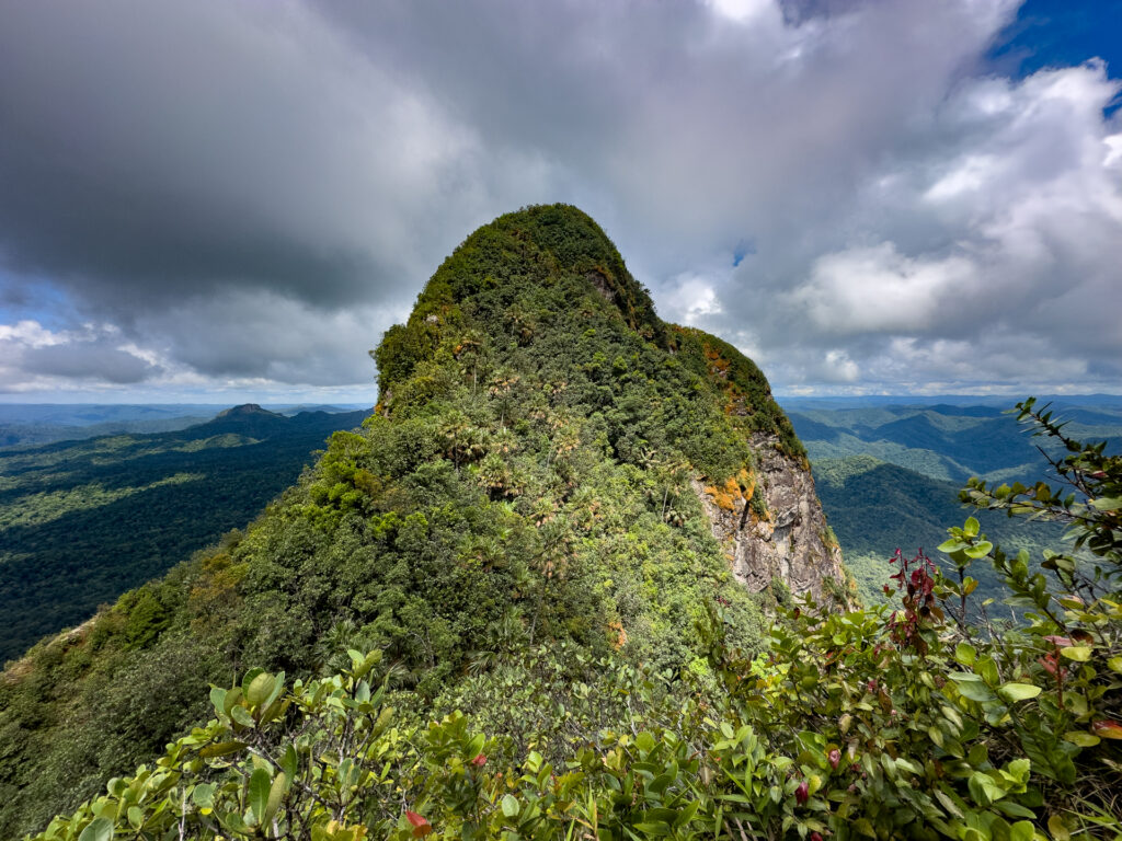 A view of a neighboring peak from the Victoria Peak Summit in Belize.
