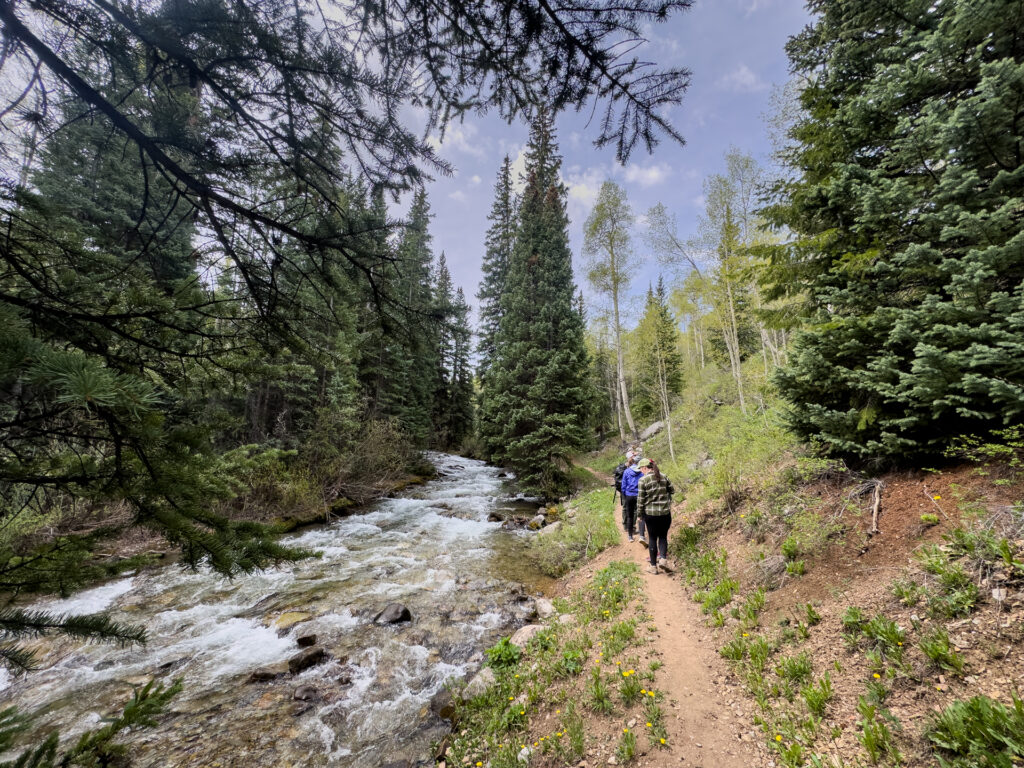 People walk down a dirt single track trail next to a creek in Ashcroft near Aspen, CO.