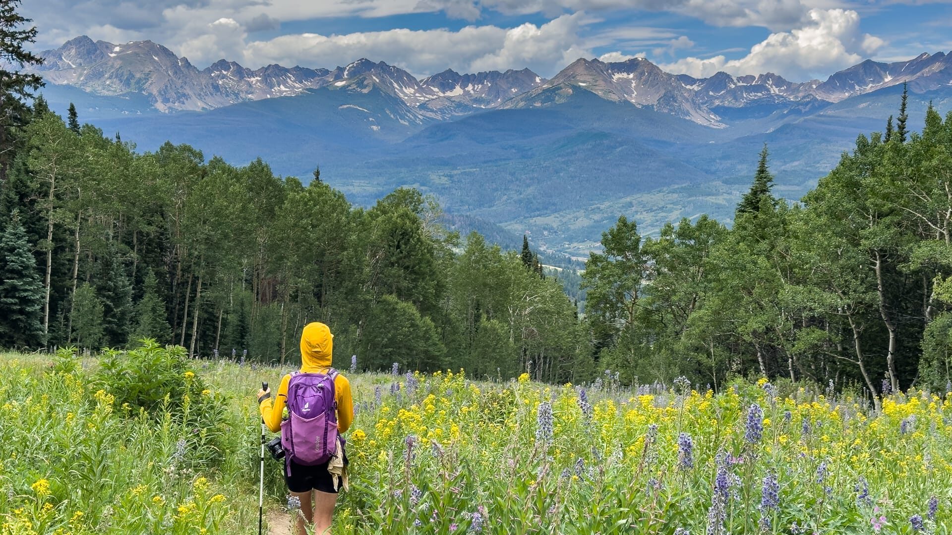 A woman hikes through wildflowers on Acorn Trail in Silverthorne, Colorado. You can see the vast Gore Mountain Range in the distance.