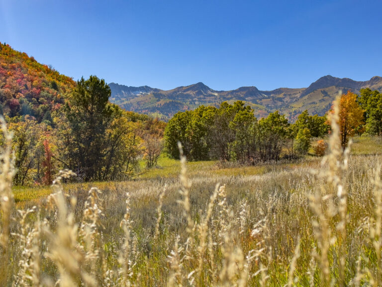 Ice Box Canyon Trail, fall colors in Utah.