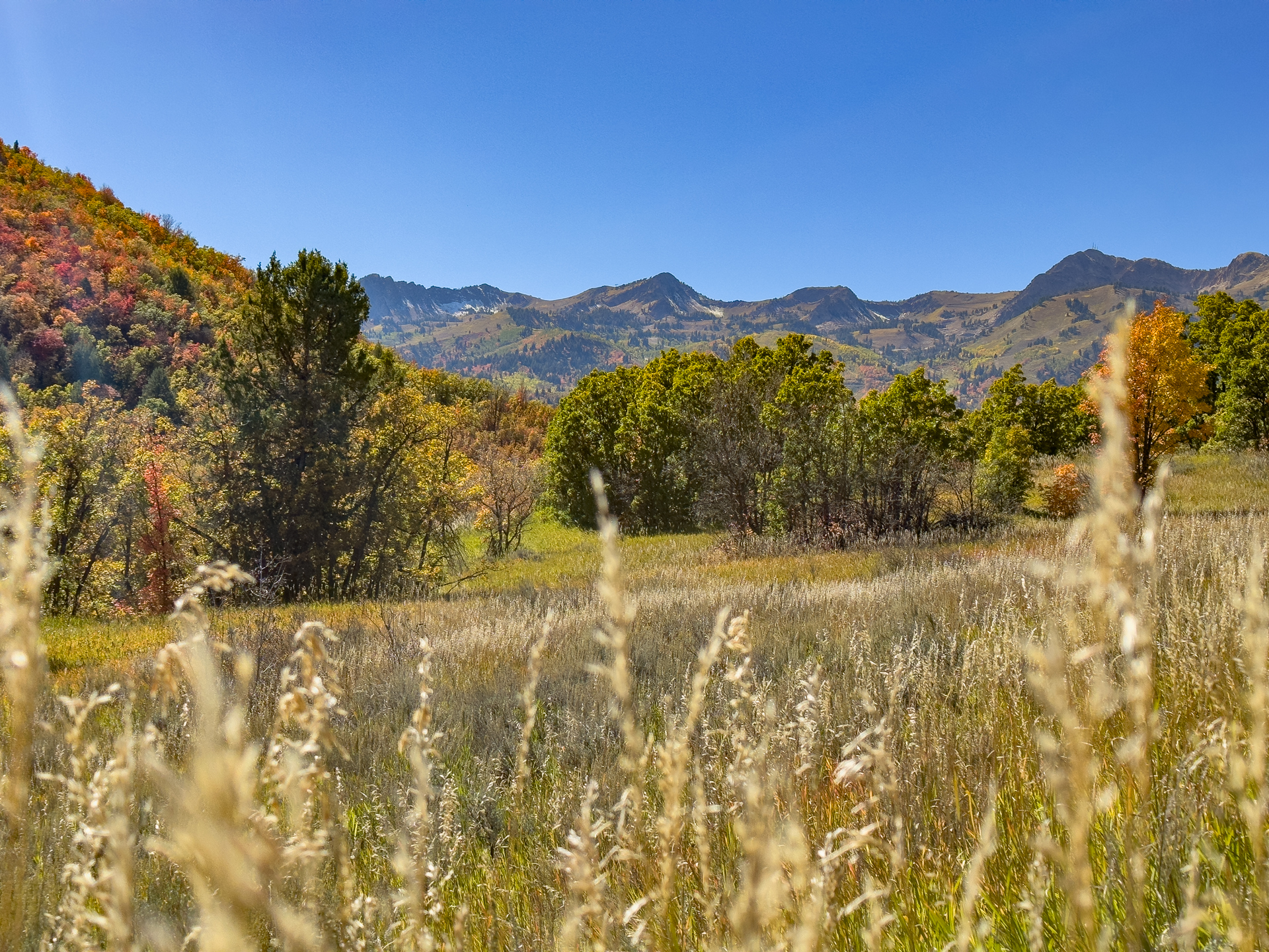 Ice Box Canyon Trail, fall colors in Utah.